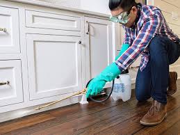 Best Real Estate Pest Inspections  in Point Mackenzie, AK